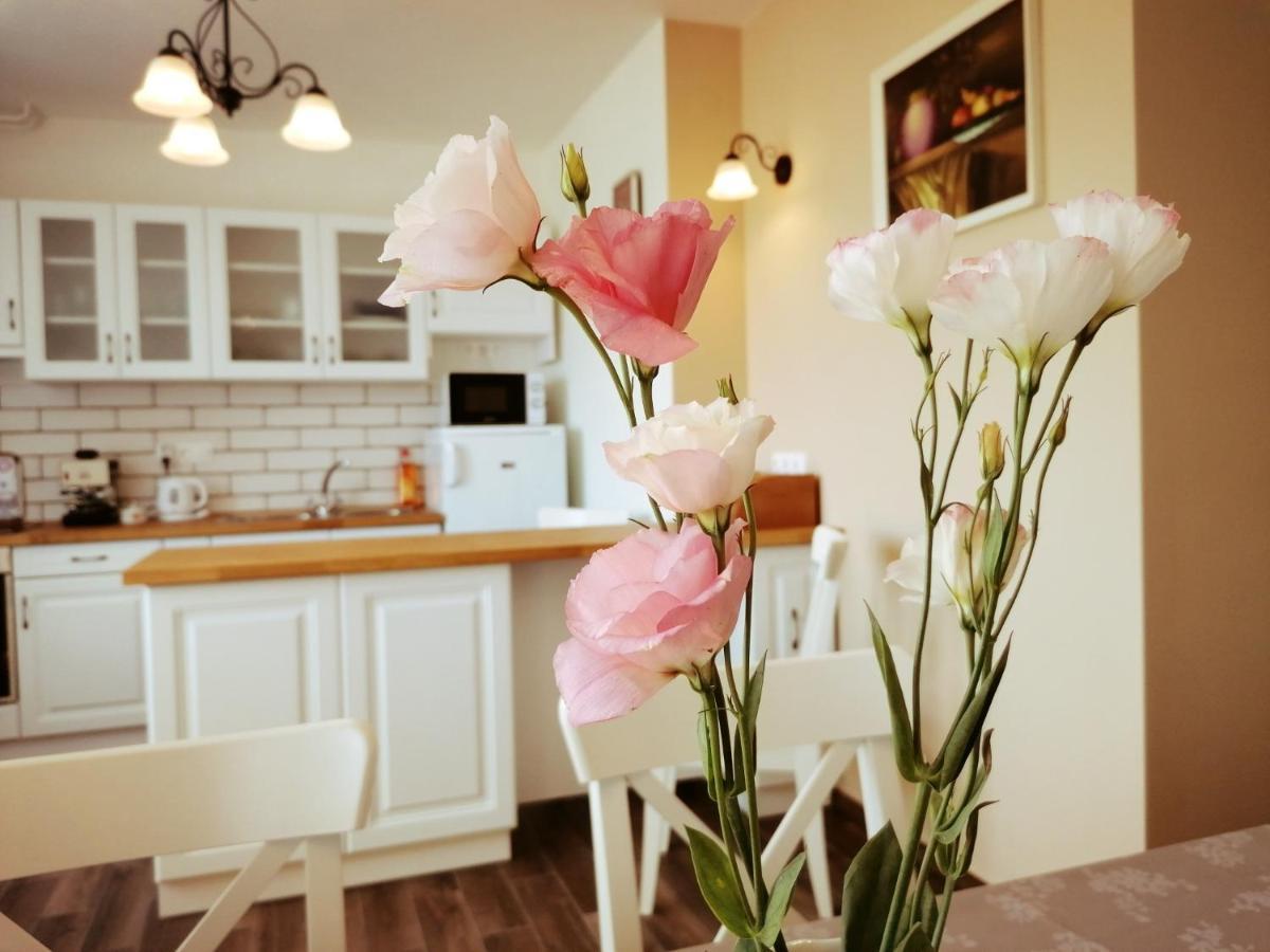 Elisoria Apartments تشيرستوموي المظهر الخارجي الصورة